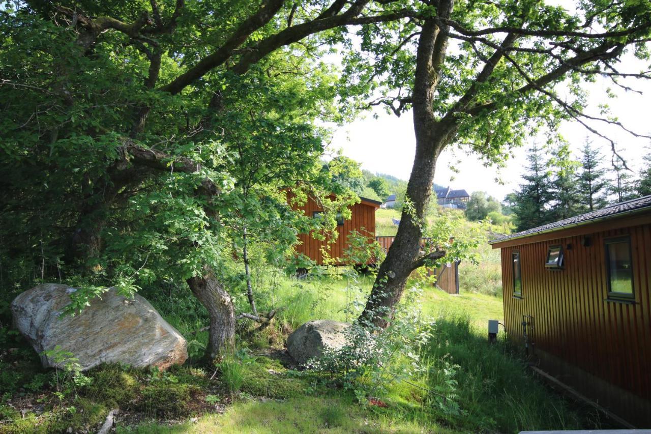 Balquhidder Braes Holiday Park Lochearnhead Bagian luar foto