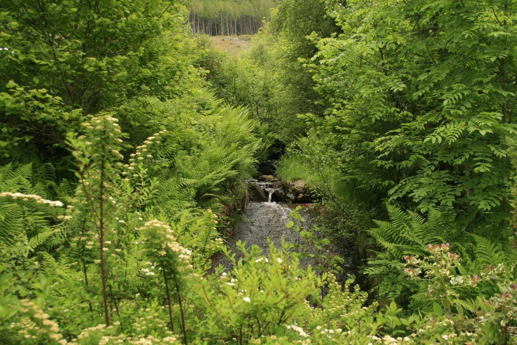 Balquhidder Braes Holiday Park Lochearnhead Bagian luar foto