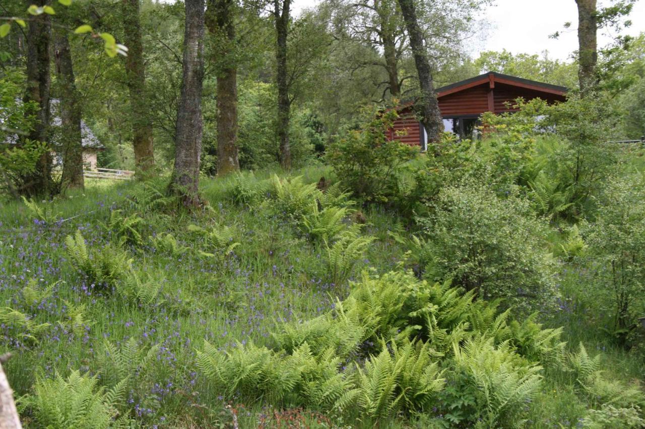 Balquhidder Braes Holiday Park Lochearnhead Bagian luar foto